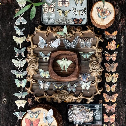 Piece butterfly stickers - 50,