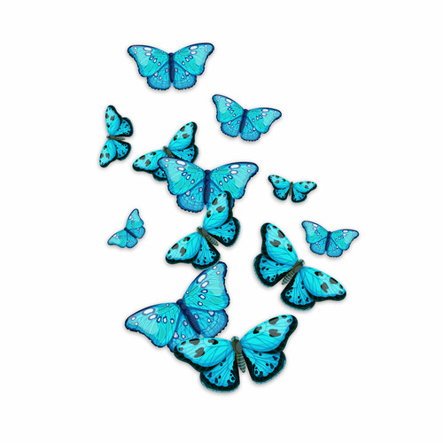 X12 adesivi farfalla - adesivi,