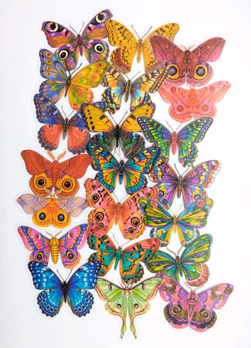 Adesivi farfalla 50x - adesivi,