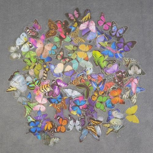 Adesivi farfalla colorati - farfalla,