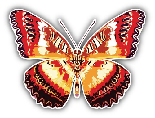 Adesivo decalcomania paraurti