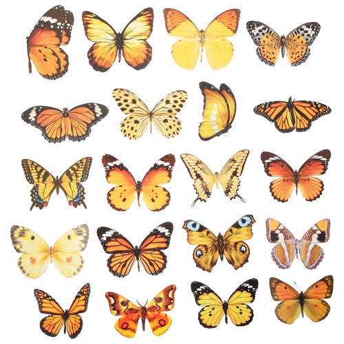 Adesivi farfalla colori - adesivi,