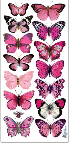 Adesivi viola rosa brillante