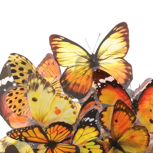 Pezzi adesivo farfalla - pezzi,